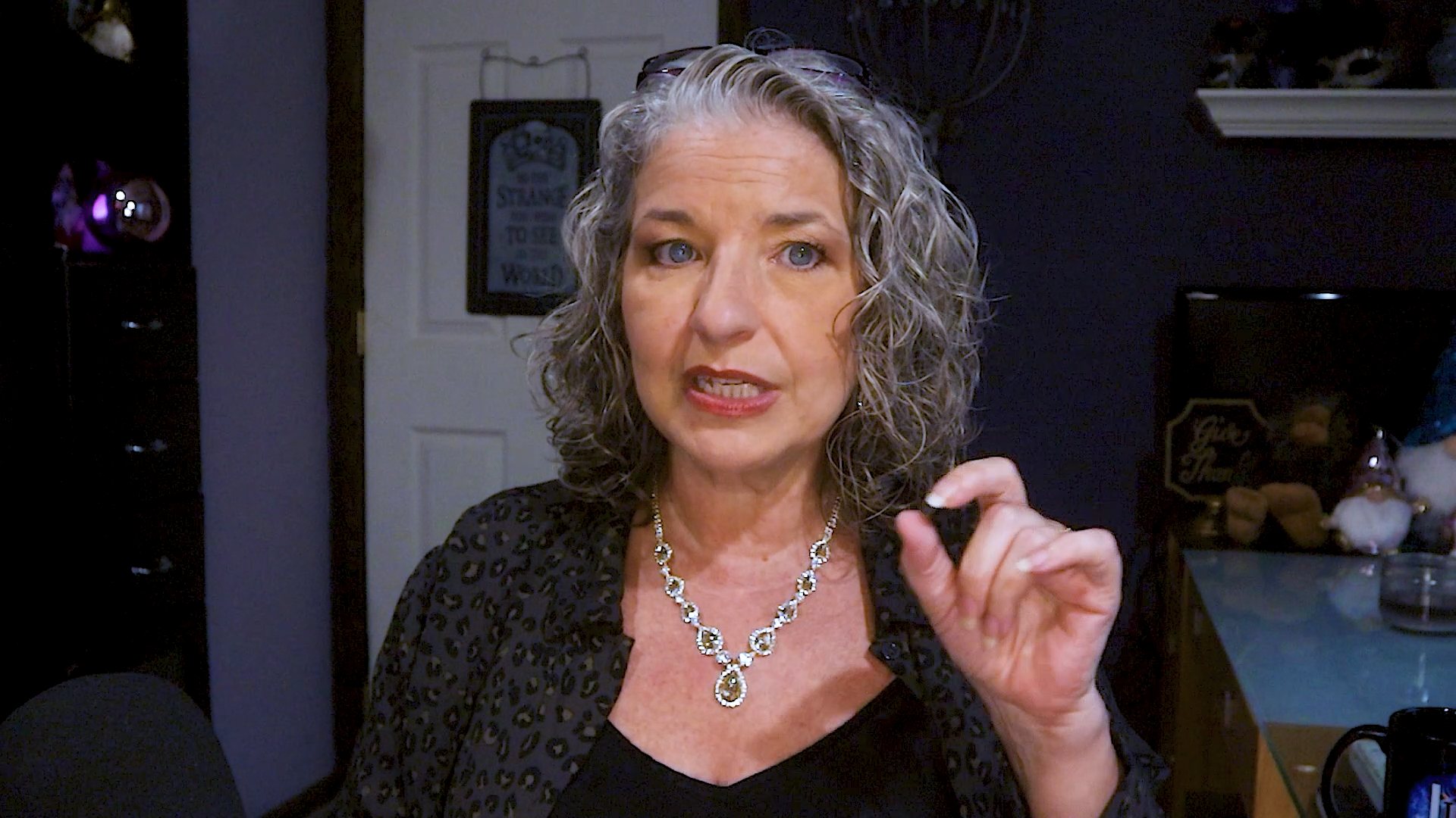Carol Ann at her desk, mid-sentence, one hand raised to make the point.